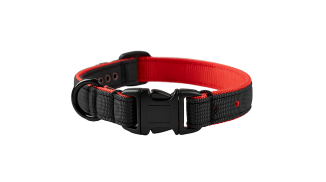 Durable black and red dog collar with quick release buckle and D-ring
