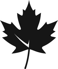 Black silhouette of a maple leaf with a stem isolated on a white background isolated on white background isolated on transparent background