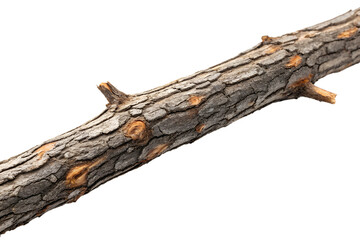 Close up of a rough tree branch texture