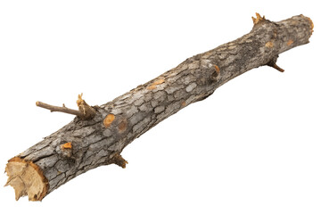 Rough barked wooden branch isolated on black