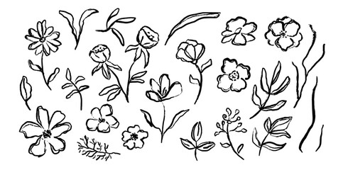 Abstract ink floral botany elements in doodle style. Drawing drawing wild plants and flowers. Hand drawn botanical illustrations.