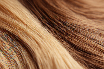 Fototapeta premium Wavy blonde and brown hair strands with subtle highlights.