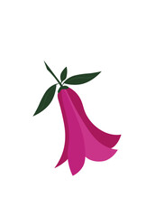 Imape of Lapageria flower. Symbol of Chile.. Vector logo Chile. Chilean national elements