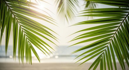 Fototapeta premium Tropical Palm Fronds with Beach Background, Sun Flare