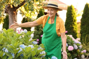 Smiling senior woman in hat and apron with flowers in garden