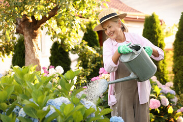 Smiling senior woman in hat and apron watering beautiful flowers with can in garden