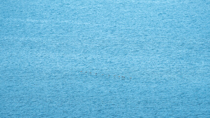 aerial view to calm sea and flying birds above water