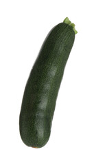 One fresh ripe zucchini isolated on white