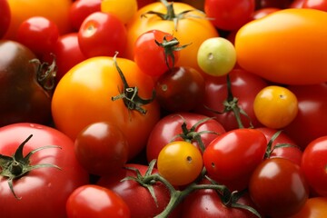 Different ripe juicy tomatoes as background, closeup