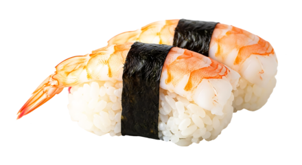 Two pieces of delicious ebi nigiri sushi isolated on transparent background, ready to eat