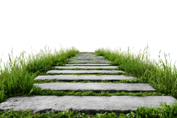 Stone steps ascending upwards through vibrant green grass.