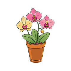 Elegant decorative orchid flower arrangement in a pot on a clean white background