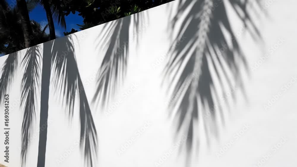 Aufkleber dynamic abstract patterns created by the dappled shadows of palm tree leaves on a textured white wal