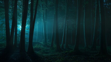 Mysterious glowing light emanates from deep within a dark misty and atmospheric forest at night creating an eerie and enchanting scene