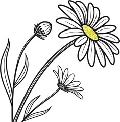Simple clean black line art illustration of a daisy flower