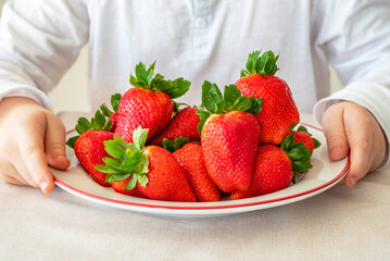 Plate of fresh strawberries in the hands of a child.
