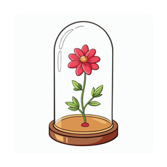 Preserved flower in glass dome displayed on a clean white background