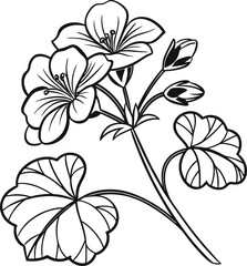 Simple minimal black outline geranium flower line art illustration