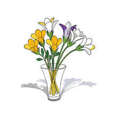 Elegant freesia flowers in a glass vase with subtle shadows on a white background banner