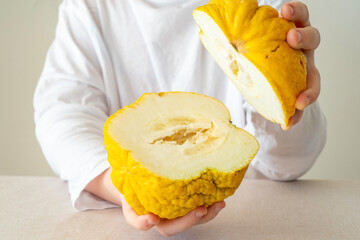 Etrog in the hands of a child for Week-long Jewish festival Sukkot in the hands of a child.