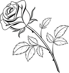 Elegant minimal single rose flower line art illustration for design projects