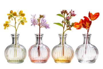 Four colorful ribbed glass bud vases with assorted flower stems.