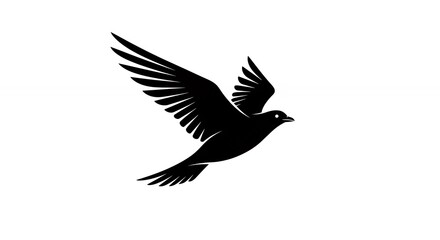 Silhouette of a bird in flight