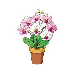 Elegant pink and white orchid flower cluster in a pot floral design