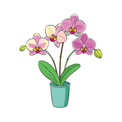 Three elegant orchids in a modern white vase on a clean white background