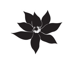 Flower silhouette on white background. Elegant black flower silhouette illustration for nature, decor, and design.