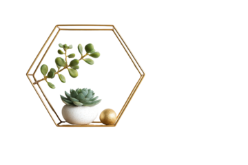 Hexagonal gold metal shelf with a potted succulent and leafy branch.