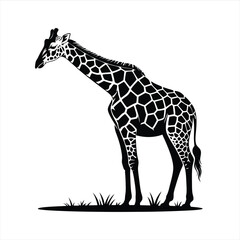 Elegant Silhouette of a Giraffe Standing Gracefully on Grassy Plains in a Vector Illustration Format Capturing its Unique Pattern and Tall Stature