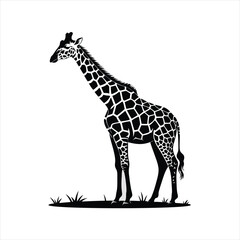 Elegant Giraffe Silhouette Vector Graphic for Wildlife Art and Safari Themed Designs Representing African Fauna and Nature's Graceful Giants in a Stylized Black and White Illustration