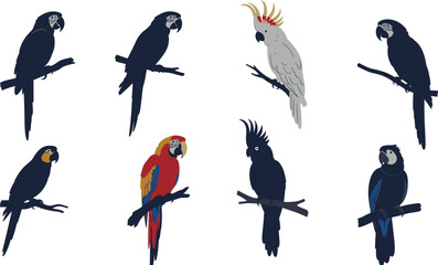 parrot silhouettes vector illustration, tropical exotic birds on branches, colorful macaw cockatoo clipart artwork for designs