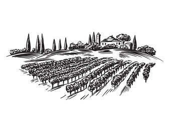 Vineyard landscape with building on the hill hand drawn.