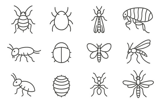 Micro Insect Icons. Line style icons of micro insects: aphid, mite, thrips, flea; springtail, tiny beetle, whitefly, fungus gnat;