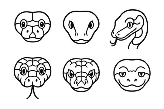 Python Head Icons. Line style icons of python snake heads: round-faced python, smooth scaled face, blunt snout python, side curl