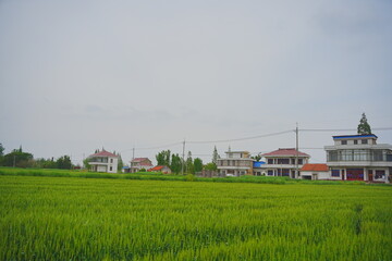 Obraz premium Nantong, Jiangsu, China: 04 21 2025: Beautiful Jiangsu Nantong traditional Chinese building and spring landscape