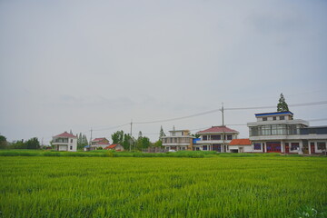Obraz premium Nantong, Jiangsu, China: 04 21 2025: Beautiful Jiangsu Nantong traditional Chinese building and spring landscape