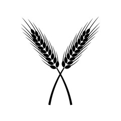 Vector art of two crossed wheat ears, , a symbol of agriculture, food, and harvest in a simple black and white design
