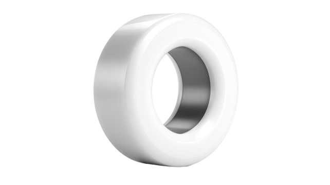 White, circular, ring-shaped object with inner hole