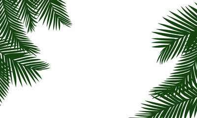 Lush green palm leaf background. Tropical template isolated on a white background. Coconut palm fronds. Plant foliage.  Vector flat summer illustration.