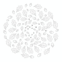 Vector art of circular arrangement of oak leaves and acorns, forming a delicate and intricate wreath for decorative purposes