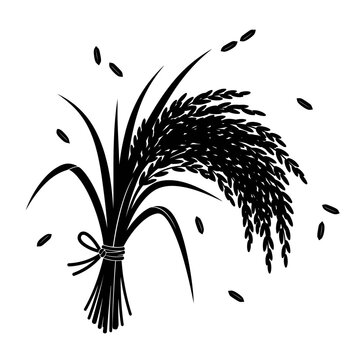 Vector art of sheaf of rice with scattered grains, depicting harvest and abundance in a simple black and white illustration