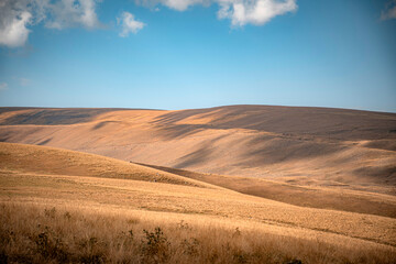 Fototapeta premium sand dunes and blue sky