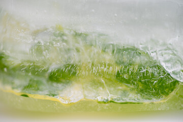 Shades of Green and Yellow and White Abstract Background of Ice and Air Bubbles