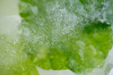 Shades of Green and Yellow and White Abstract Background of Ice and Air Bubbles