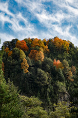 autumn, southern Chile