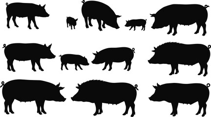 Pig silhouette illustration, farm pig vector, domestic swine artwork, wild boar design, livestock drawing, rural pig collection, animal graphics