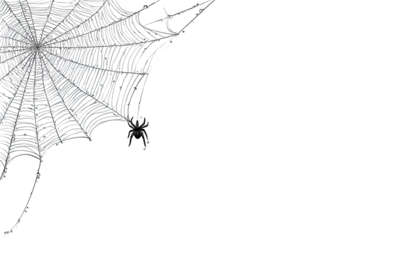 Detailed spiderweb against a black backdrop.  A complex, intricate web, with fine threads radiating outward from a central point